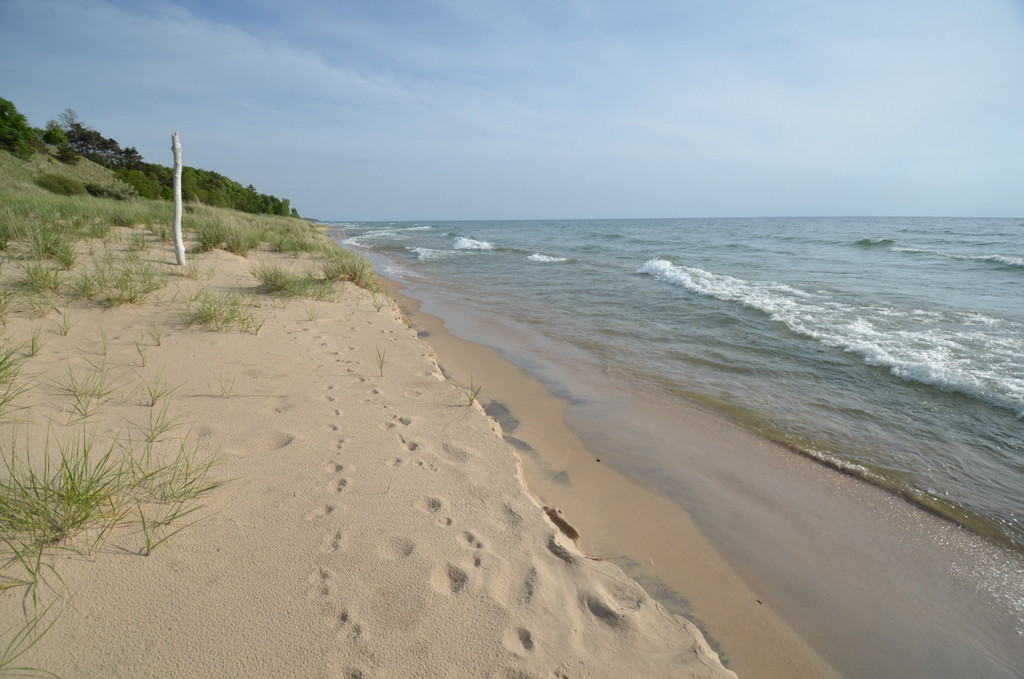 LakesideReverie-Beach