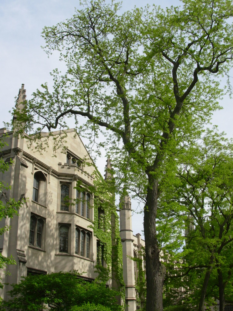University of Chicago Quad 