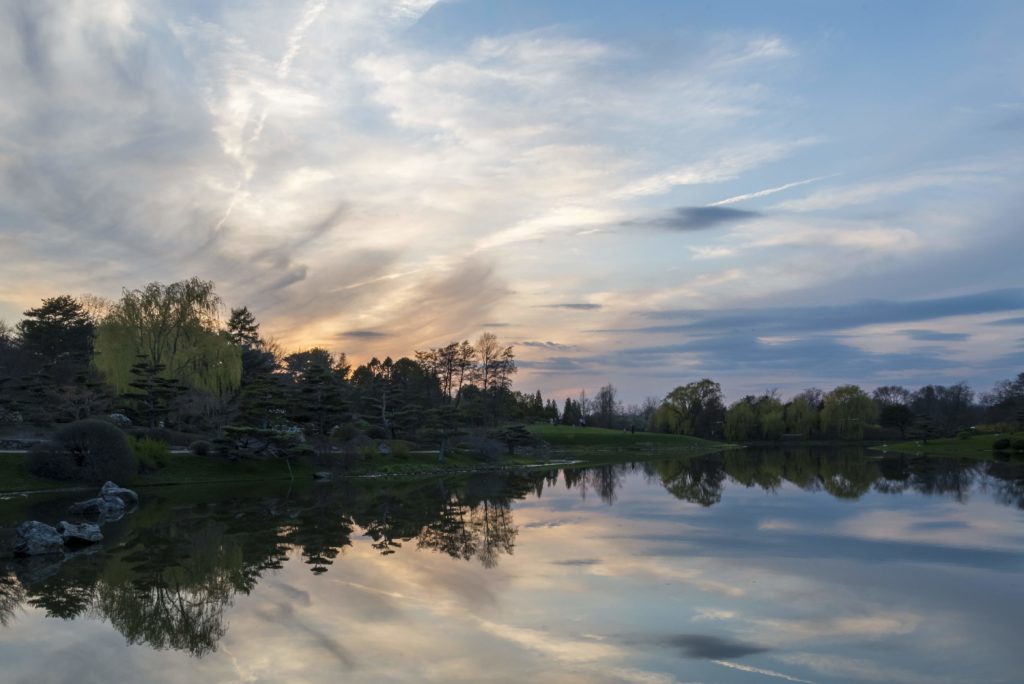 Chicago Botanic Garden Sunset