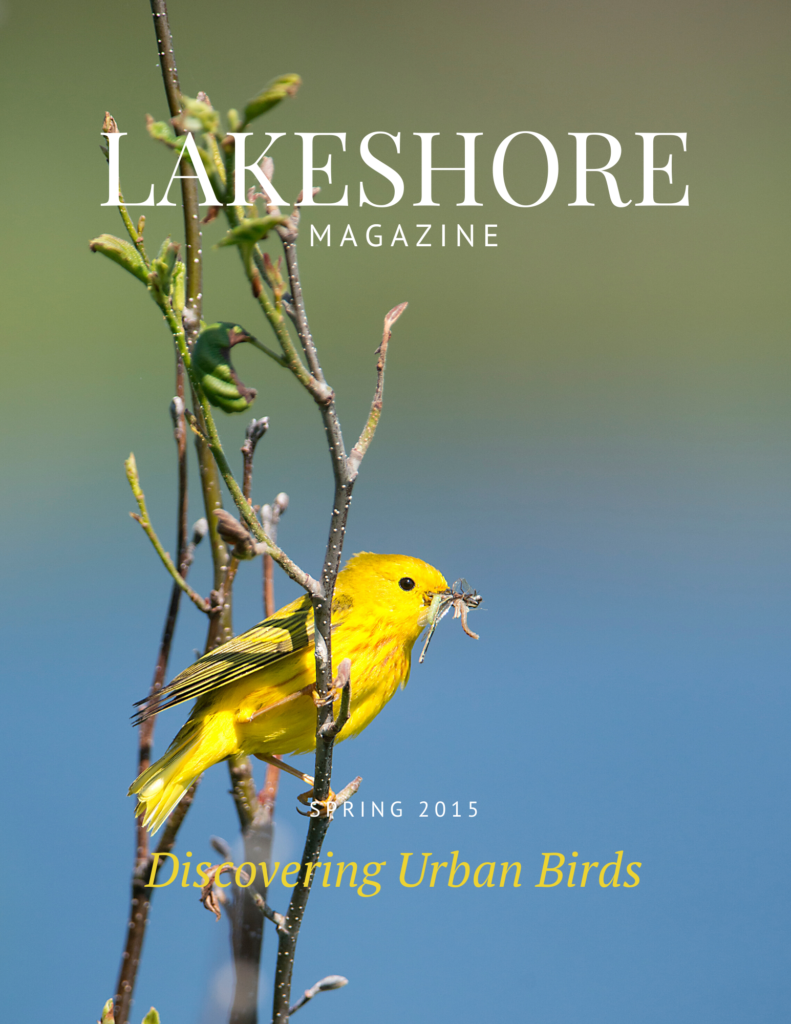 Cover Lakeshore Issue No 1