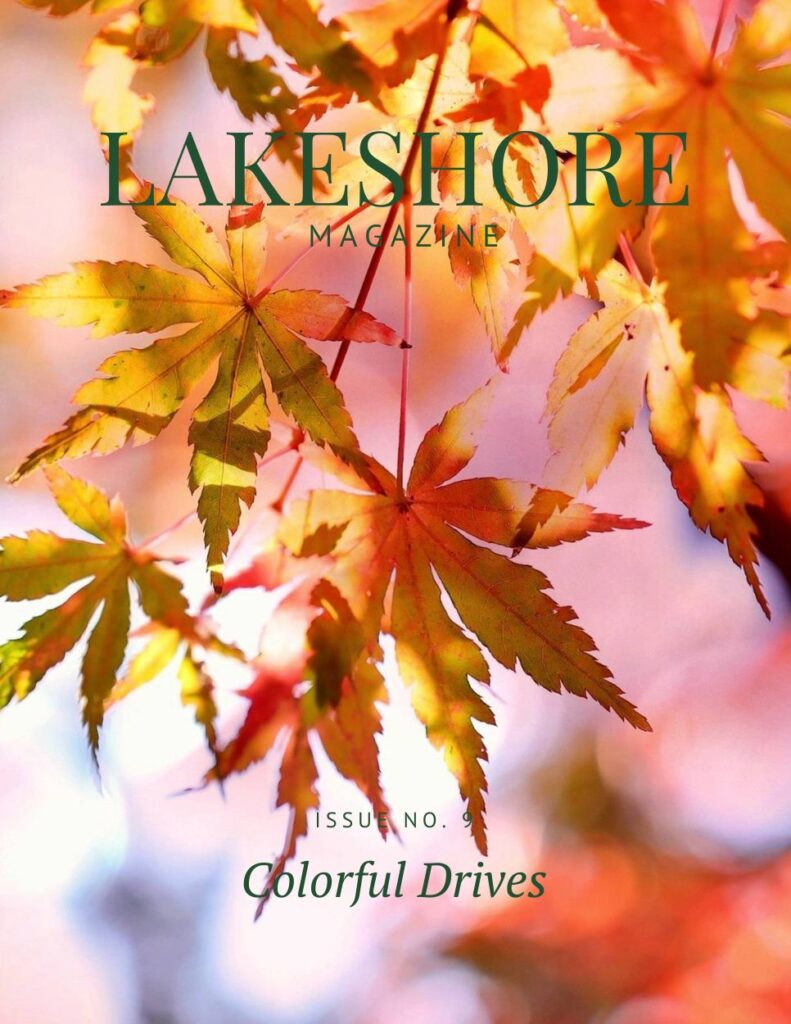 Lakeshore Magazine Issue No. 9