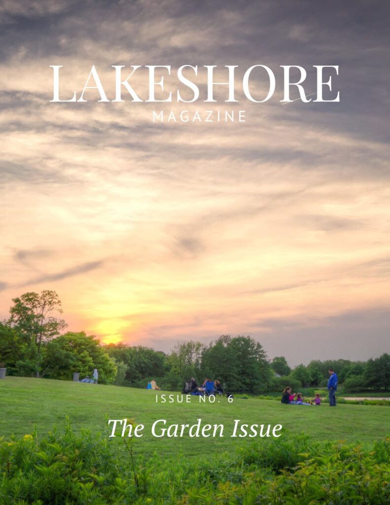 Lakeshore Magazine Issue No 6