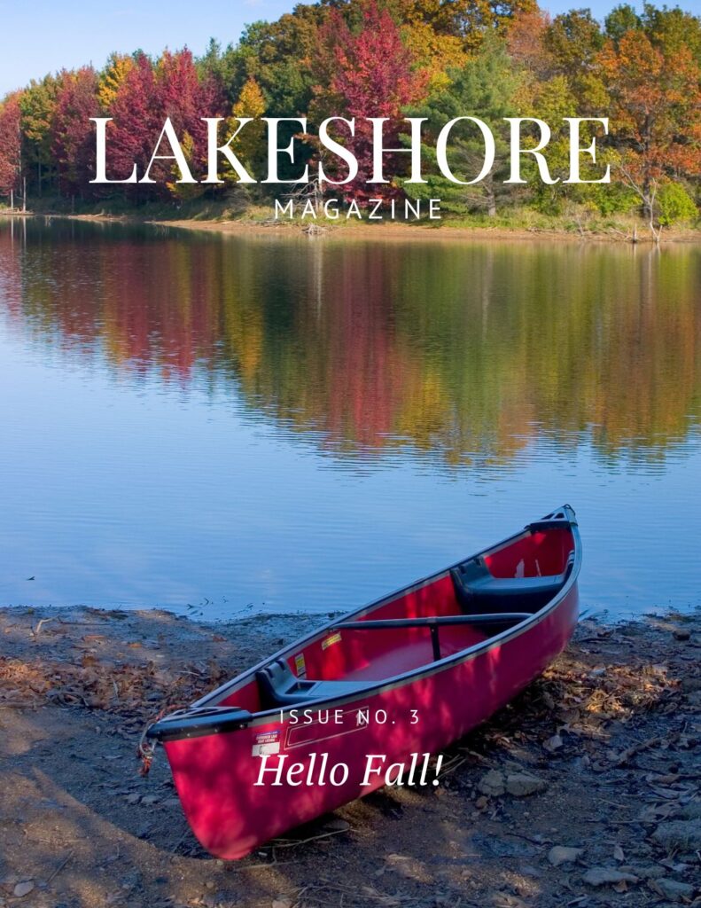 Lakeshore Magazine Issue No. 3